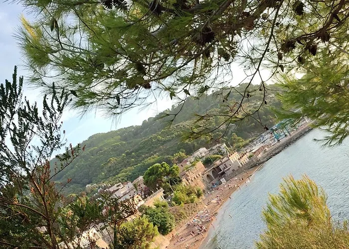 Πανσιόν Libeccio Castellabate